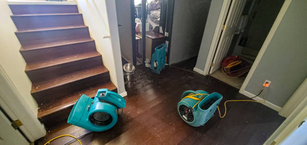 Best Carpet water damage restoration  in Budd Lake, NJ