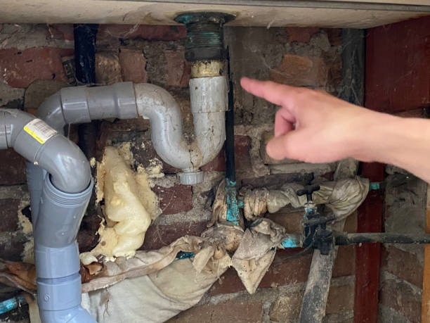 Best Water damage restoration near me  in Budd Lake, NJ