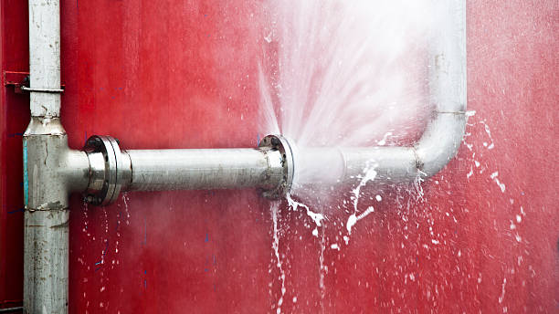Best 24-hour water damage restoration  in Budd Lake, NJ